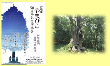 やまびこ50周年記念演奏会のポスターと大楠
