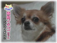 東島イチゴちゃん