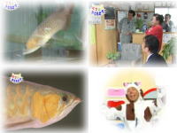 2月おともだち アロワナ君