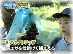バナナトラップで昆虫採集