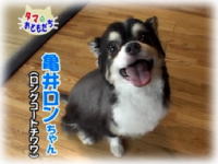 10月おともだち 亀井ロンちゃん ココちゃん