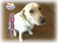 2007年1月のおともだち 大塚らぶちゃんと仲間達