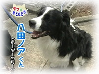 3月(後半)のおともだち 八田ノアくん