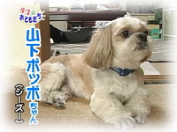 6月のおともだち 山下ポッポちゃん