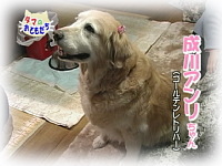 1月のおともだち 成川アンリちゃん