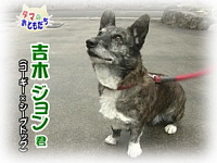 2月のおともだち 吉木ジョン君