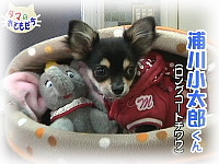 12月のおともだち 浦川 小太郎くん