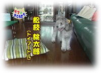 10月おともだち 桃太郎くん