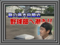 7月特集