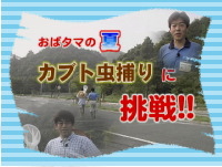 8月特集 カブト虫捕りに挑戦!!