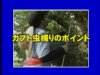 8月特集 カブト虫捕りに挑戦!!