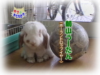 8月おともだち う-たん