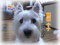 9月おともだち ナナちゃん