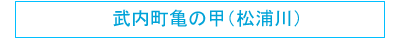 武内町　亀の甲公民館