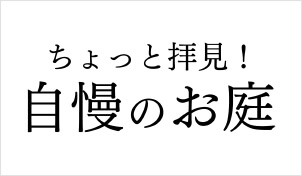 ちょっと拝見！自慢のお庭