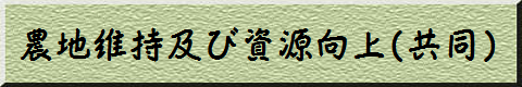 _nێEij
