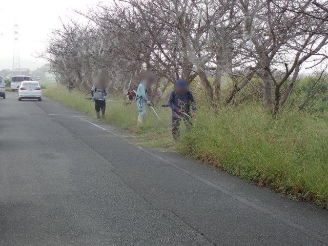 草払い