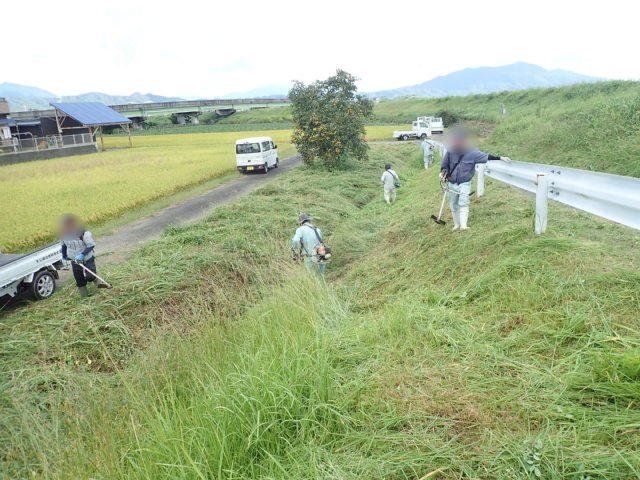 草払い
