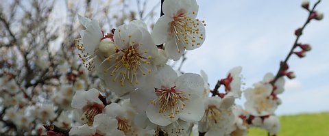 摜4
