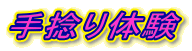 P̌